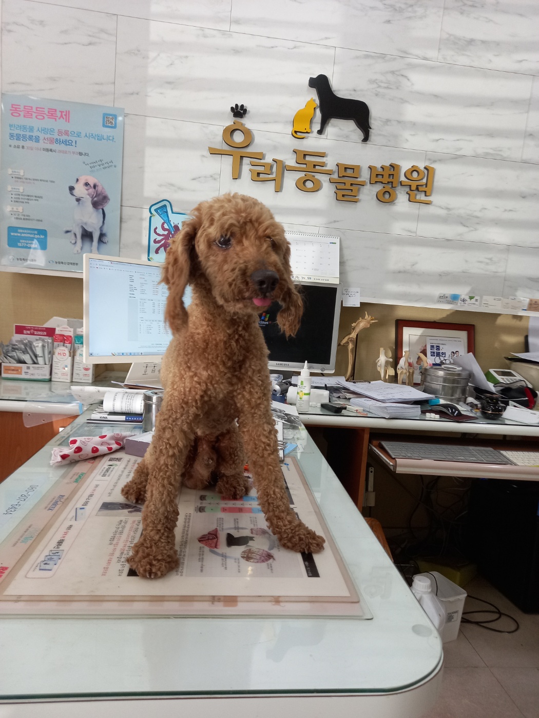증평동물보호소_443557202300025